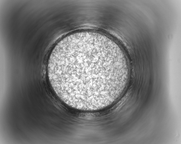 X0000095681355200802051242
