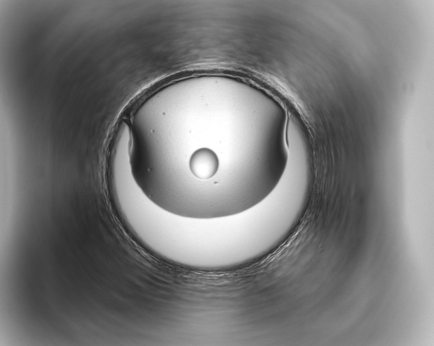 X0000095681356200802051242