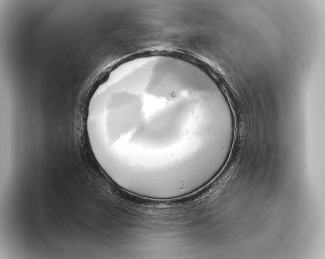 X0000095681359200802051242