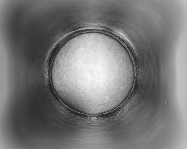 X0000095681360200802051242