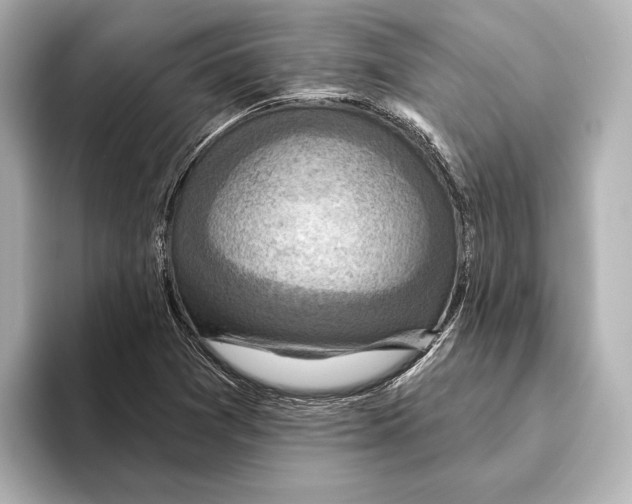 X0000095681361200802051242