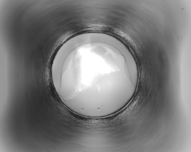 X0000095681362200802051242