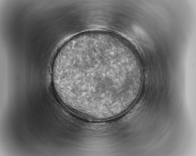 X0000095681363200802051242