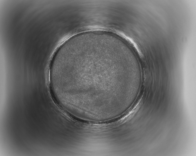 X0000095681365200802051242