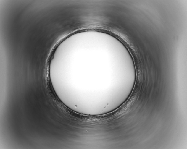 X0000095681366200802051242