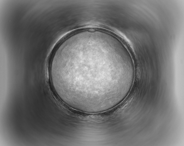 X0000095681368200802051242