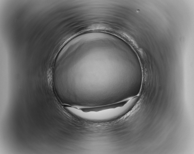 X0000095681369200802051242