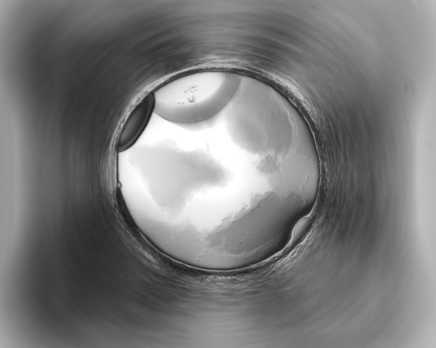 X0000095681371200802051242