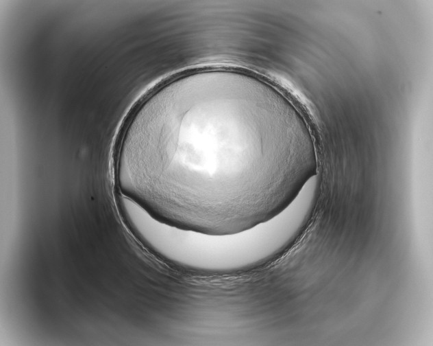 X0000095681372200802051242