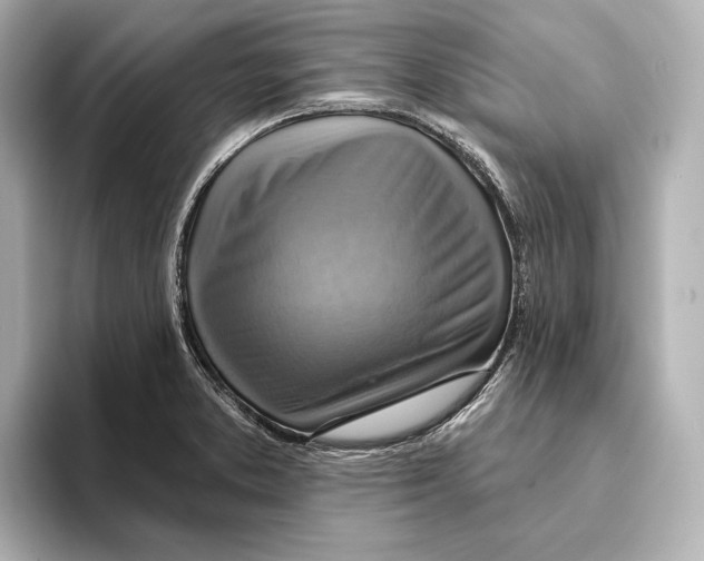 X0000095681373200802051242