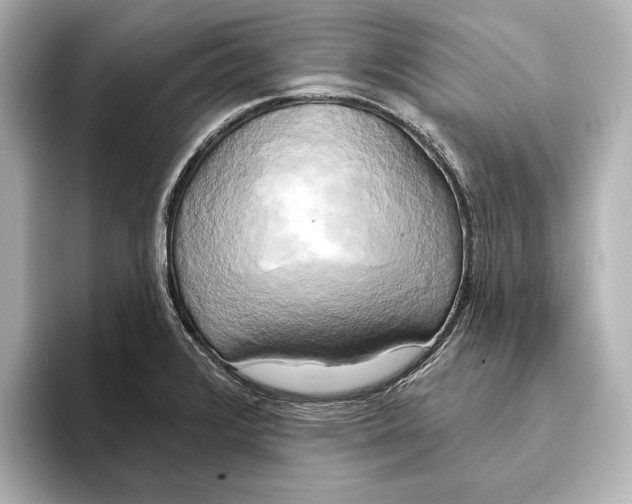 X0000095681376200802051242