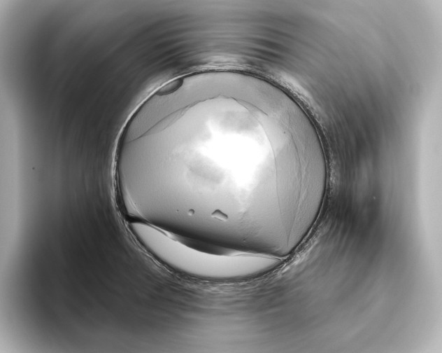 X0000095681378200802051242