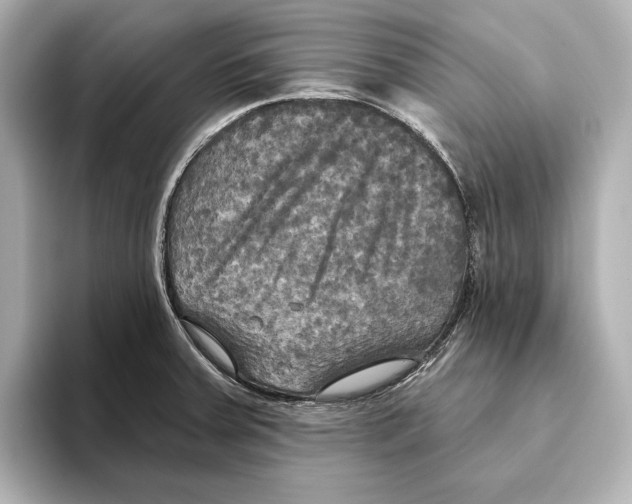 X0000095681379200802051242