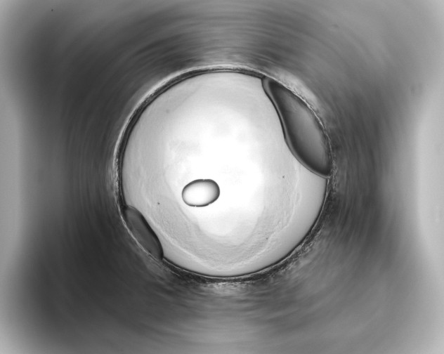 X0000095681380200802051242