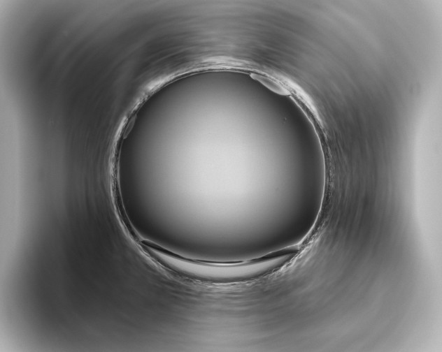 X0000095681381200802051242