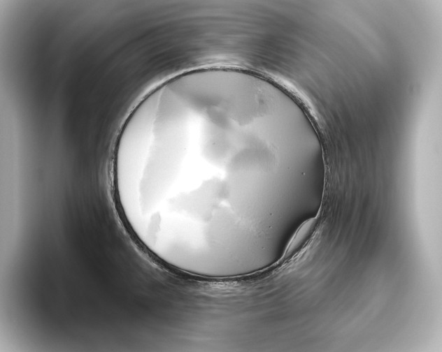 X0000095681383200802051242