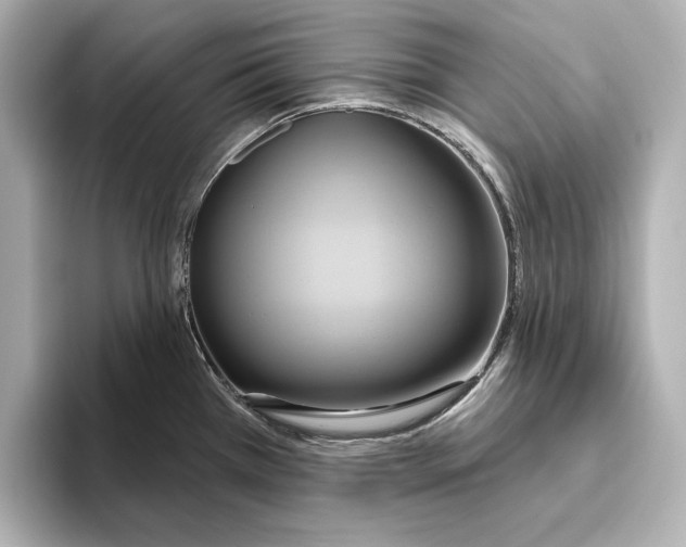 X0000095681385200802051242