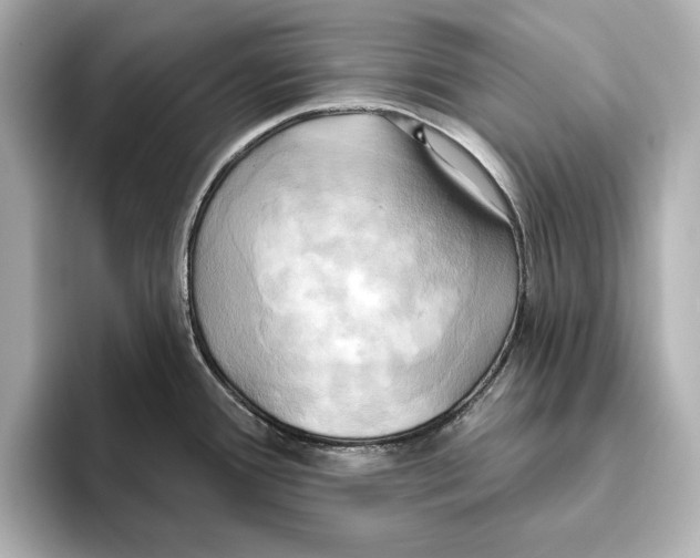 X0000095681388200802051242