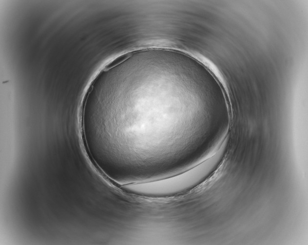 X0000095681389200802051242