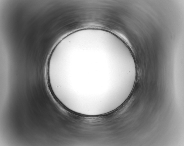 X0000095681391200802051242