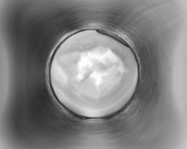 X0000095681392200802051242