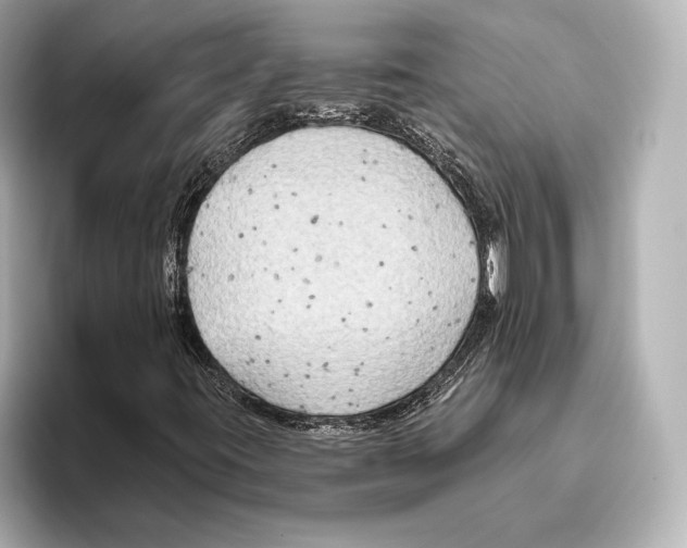 X0000095681395200802051241