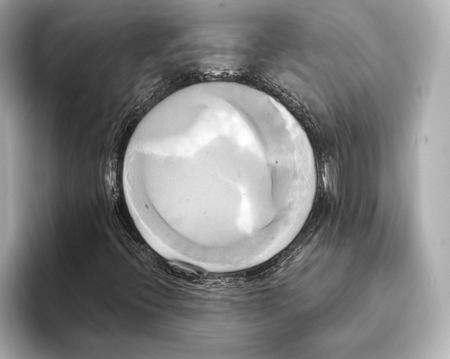 X0000095681396200802051241