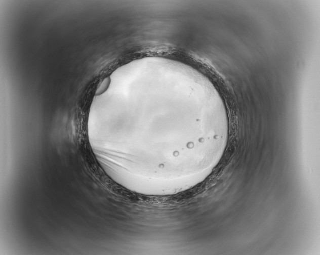 X0000095681399200802051241