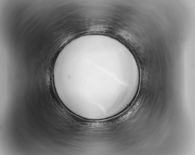 X0000095681401200802051241