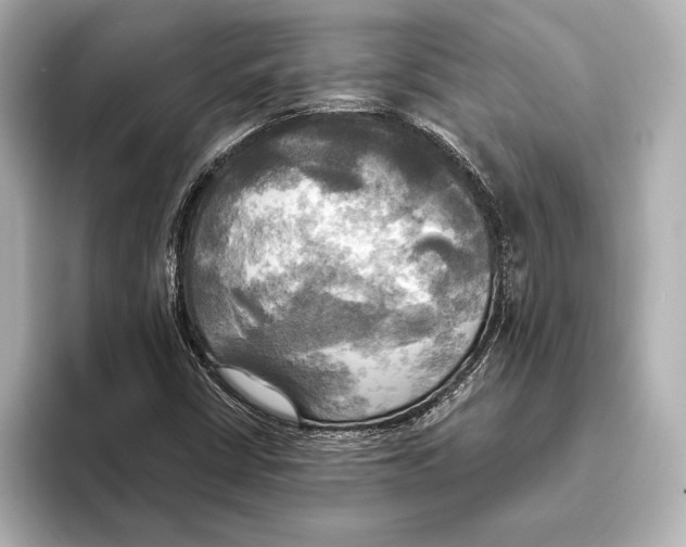 X0000095681402200802051241