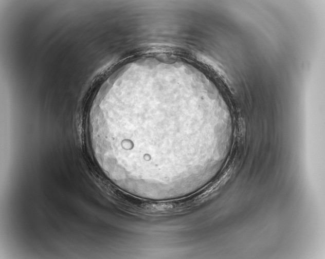 X0000095681403200802051241