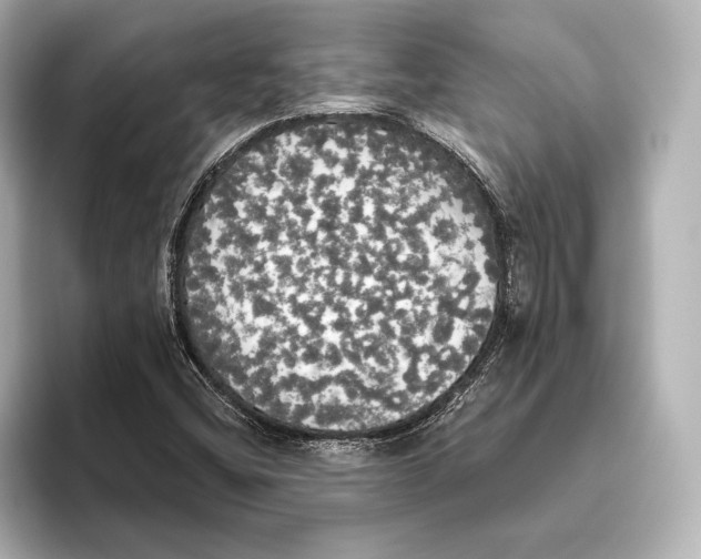 X0000095681404200802051241