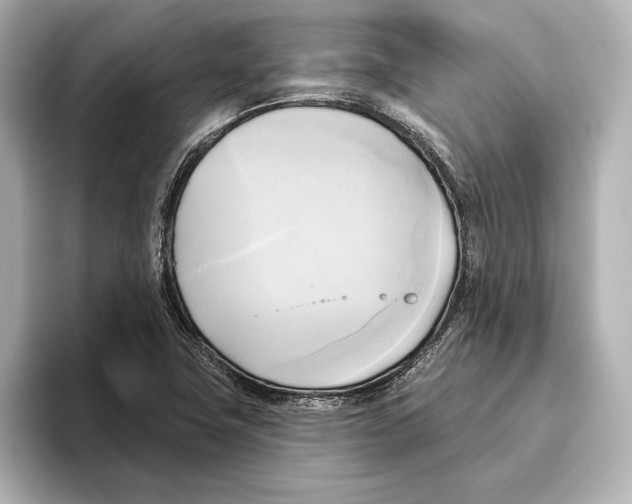 X0000095681411200802051242