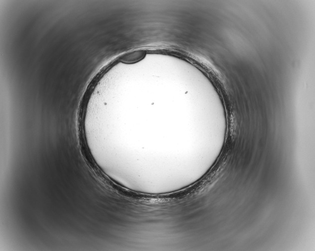 X0000095681412200802051242