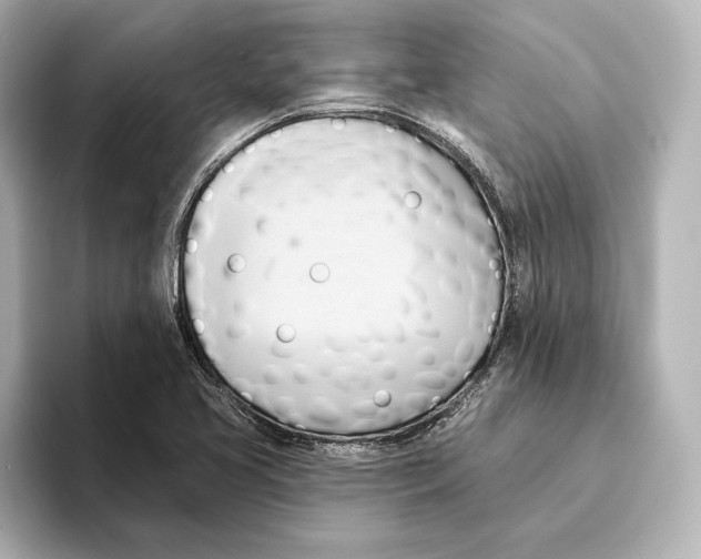 X0000095681413200802051242