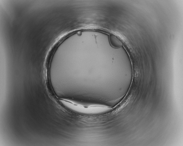 X0000095681414200802051242