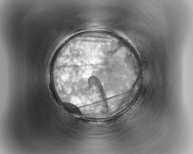 X0000095681415200802051242