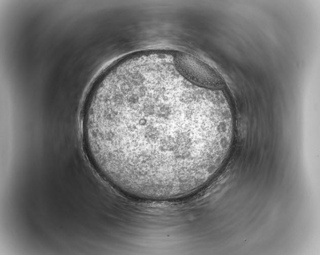 X0000095681416200802051242