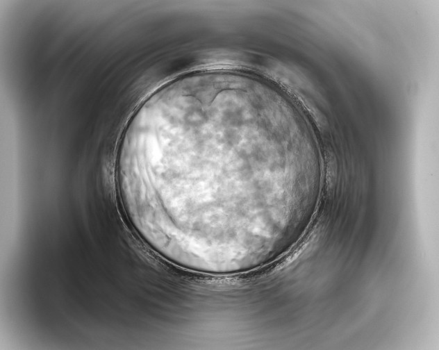 X0000095681417200802051242