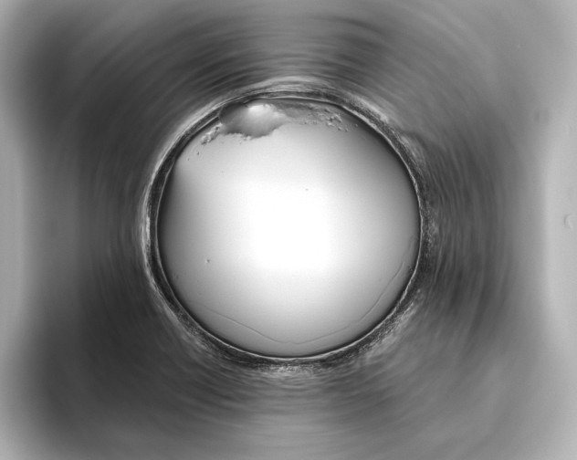 X0000095681418200802051242