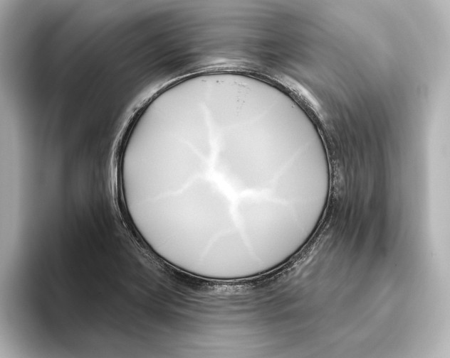 X0000095681419200802051242