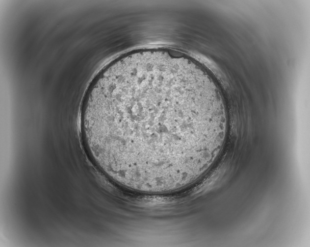 X0000095681420200802051242