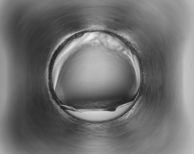 X0000095681422200802051242