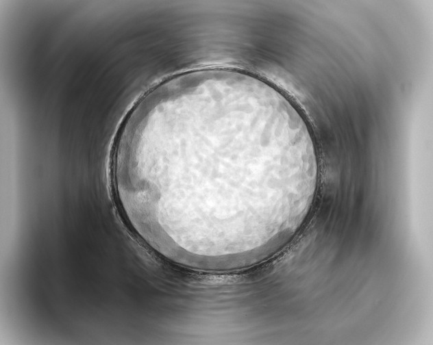 X0000095681423200802051242