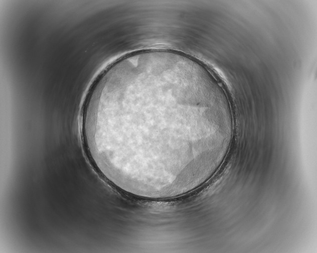 X0000095681424200802051242