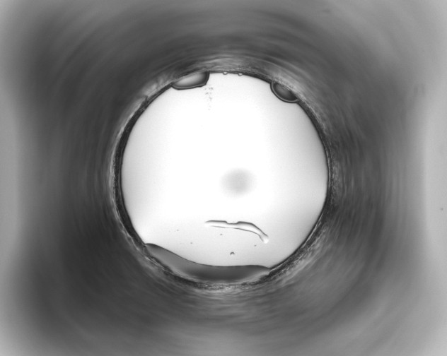 X0000095681426200802051242