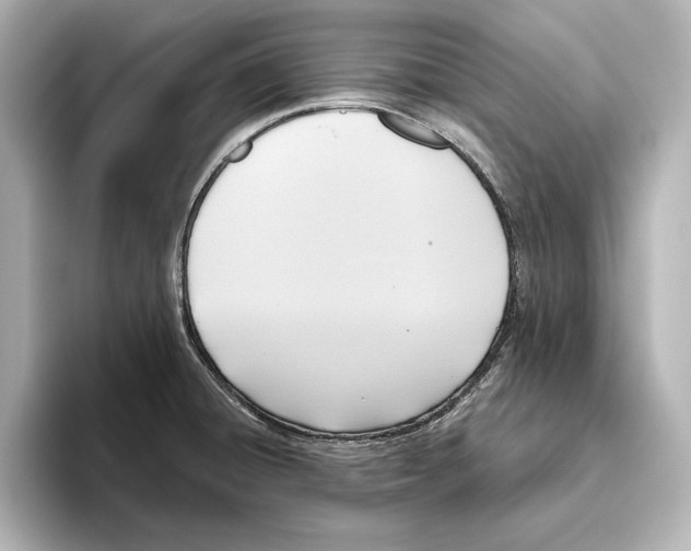 X0000095681428200802051242