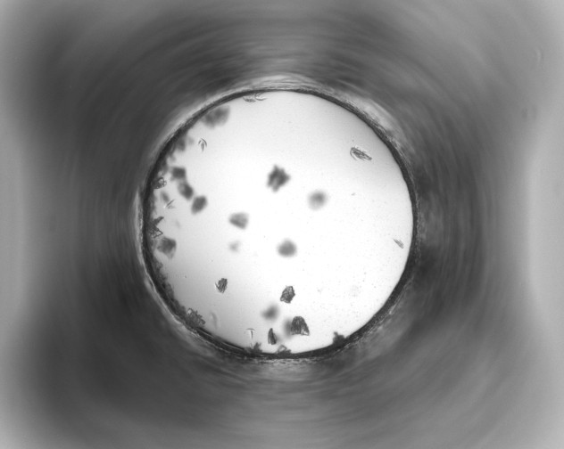 X0000095681430200802051242