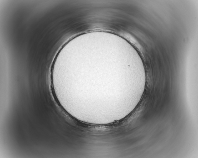 X0000095681431200802051242