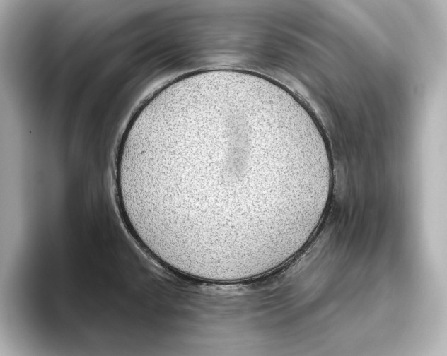 X0000095681432200802051242